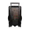 BOXA SPACER portabila bluetooth LION, tip troler, RMS: 120W, 15&quot; woofer, acumulator 4.5A, input : AUX audio, guitar, USB/microSD, remote control, wireless microphone, black, &quot;SPB-A25-BT&quot;/43501939  (include TV 10 lei)