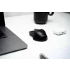 MOUSE  Spacer, PC sau NB, wireless, 2.4GHz, optic, 1600 dpi, butoane/scroll 4/1, , negru, &quot;SPMO-W02&quot;
