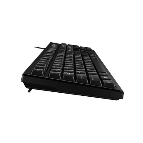 TASTATURA GENIUS USB, 104 taste, black, &quot;Smart KB-100 RO&quot;, aranjament romana (diacritice), &quot;31300005418&quot;  (include TV 0.8lei)