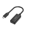 Video Adapter, USB-C Plug - HDMItm Socket, Ultra-HD 4K