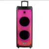 Boxa portabila AKAI, tip troller, 100 W RMS, Bluetooth 5.0, joc lumini, USB, microfon, telecomanda, negru, &quot;PARTY SPEAKER 1010&quot; (timbru verde 40 lei)