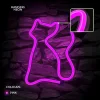 Lampa led Neon Forever cu Usb-A FLNE04 Pisica Roz