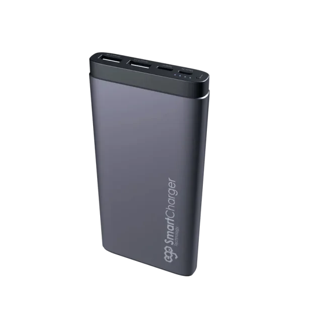 Baterie Externa Ego 10000mAh 2.1A Gri