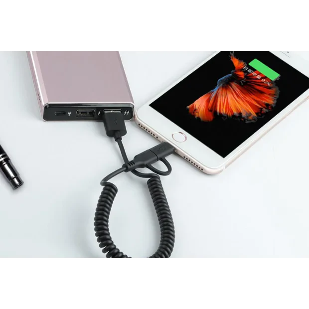 Cablu Date 2in1 Micro USB+ Lightning Awei 1m Negru