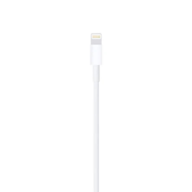 Cablu Date Lightning to Usb Apple 1m Alb