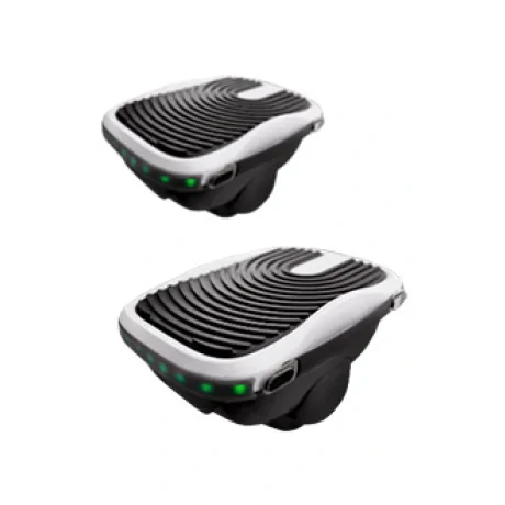 Patine Electrice